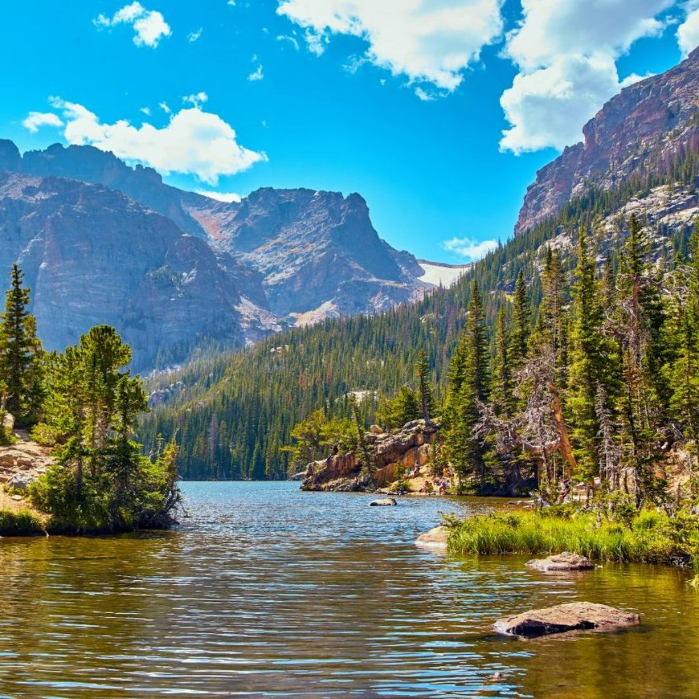 Meet your Posher, Scubacat